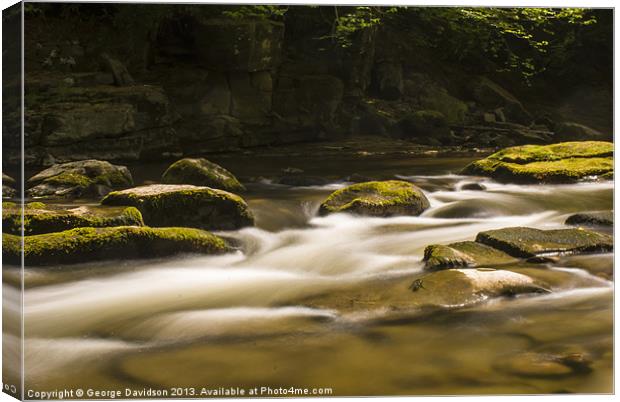 Faster Canvas Print by George Davidson