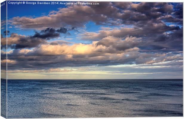  Open Skies Canvas Print by George Davidson