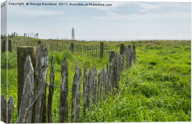 Fenced Canvas Print by George Davidson