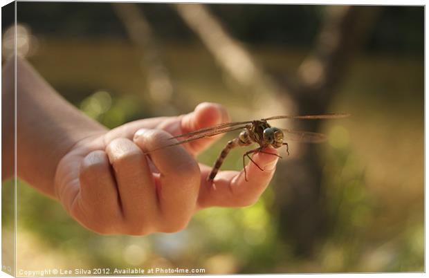 Dragonfly Canvas Print by Lee Silva