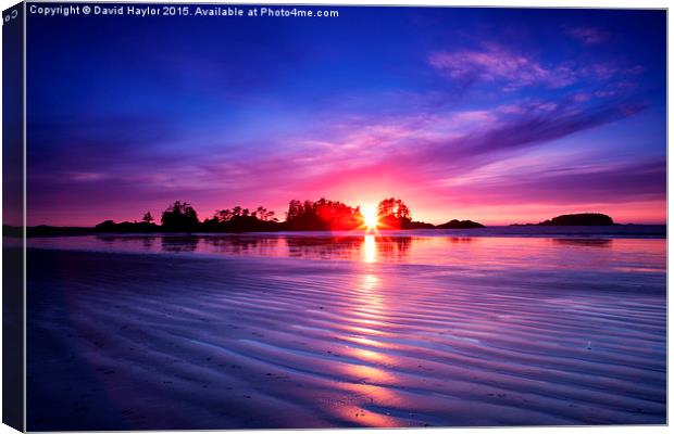  Frank Island sunset, Vancouver Island Canvas Print by David Haylor