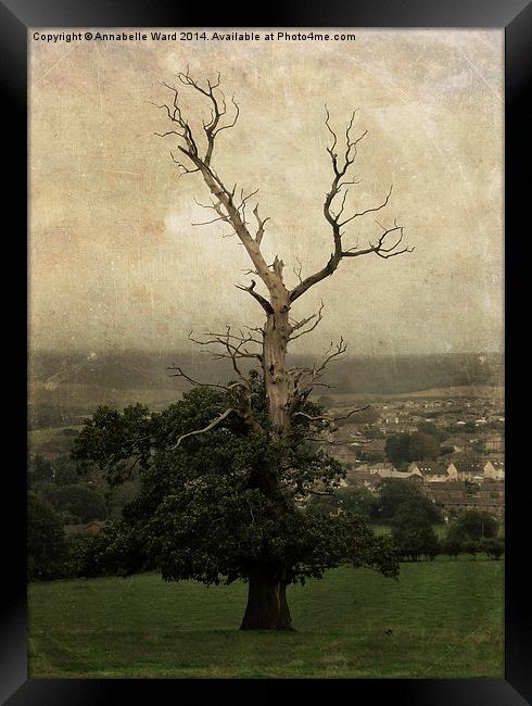 The Skeletal Tree Framed Print by Annabelle Ward