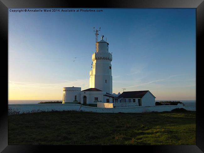 Dawn at the Lighthouse. Framed Print by Annabelle Ward