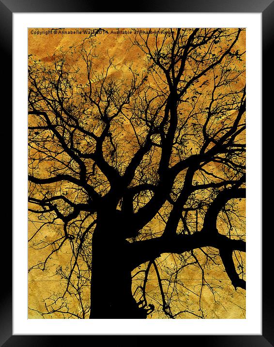 Oak tree in yellow. Framed Mounted Print by Annabelle Ward