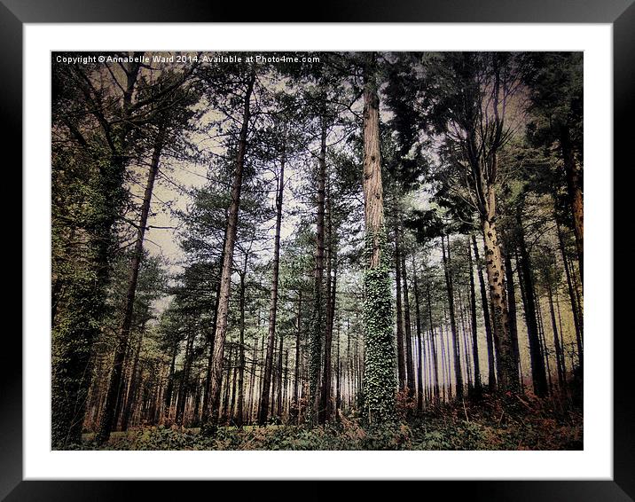 Parkhurst Trees Framed Mounted Print by Annabelle Ward