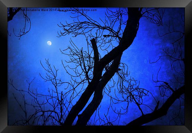 Blue Moon Rising Framed Print by Annabelle Ward