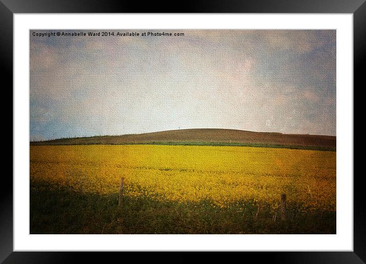 Field of Yellow Framed Mounted Print by Annabelle Ward