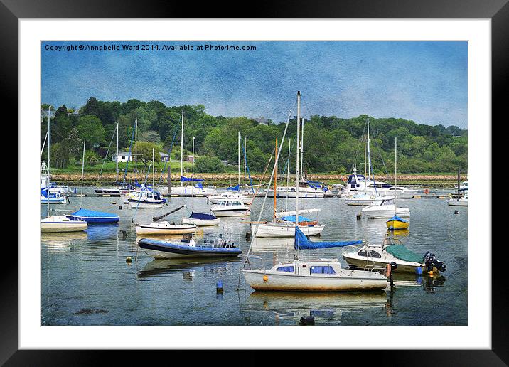 Bembridge Harbour. Framed Mounted Print by Annabelle Ward