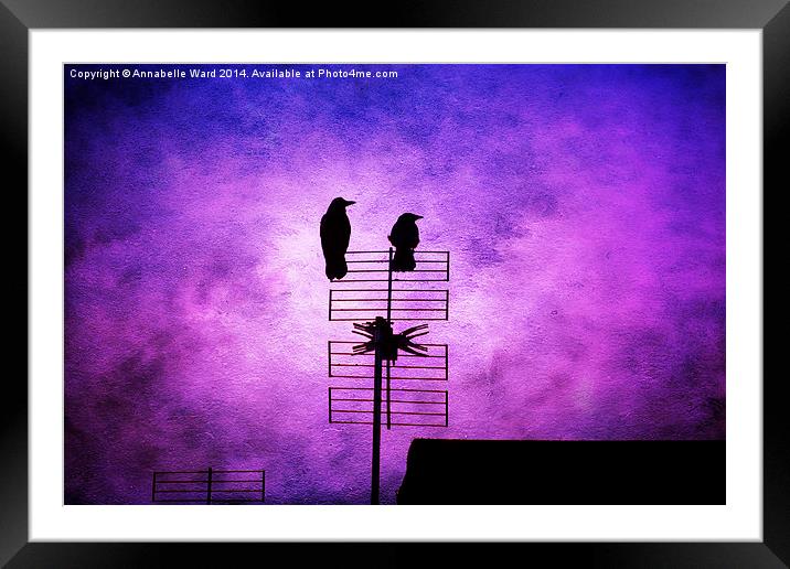 Two Crow Violet Framed Mounted Print by Annabelle Ward