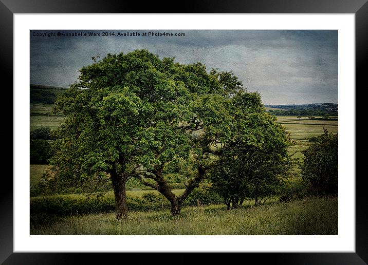 Summer Tree Wishes. Framed Mounted Print by Annabelle Ward