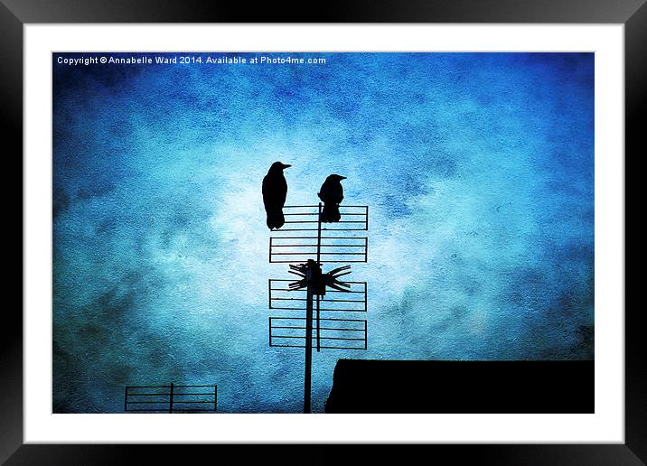  Two Crow Blues Framed Mounted Print by Annabelle Ward