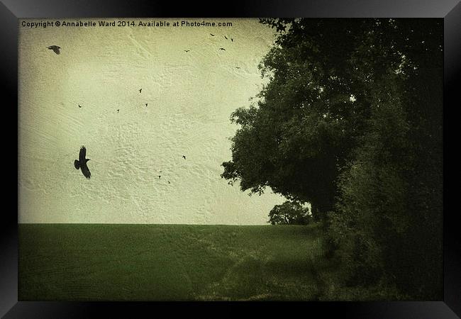  Crow Harvest. Framed Print by Annabelle Ward