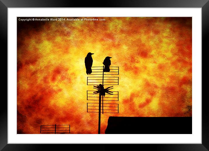  Two Crow Fire Framed Mounted Print by Annabelle Ward
