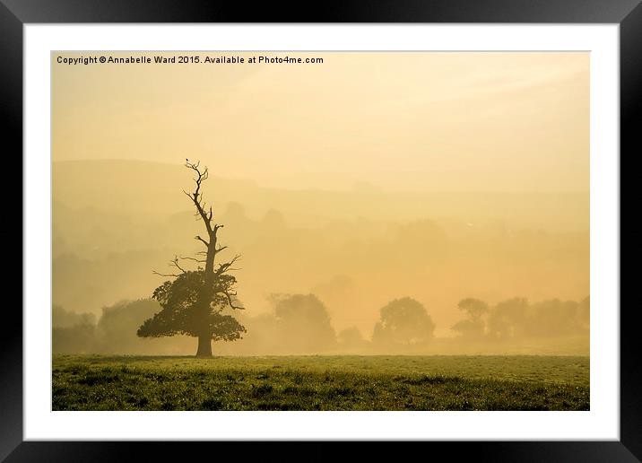  Misty Autumn Morning Tree. Framed Mounted Print by Annabelle Ward