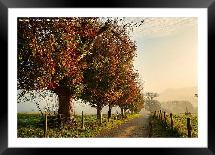  Autumn Morning Amble. Framed Mounted Print by Annabelle Ward