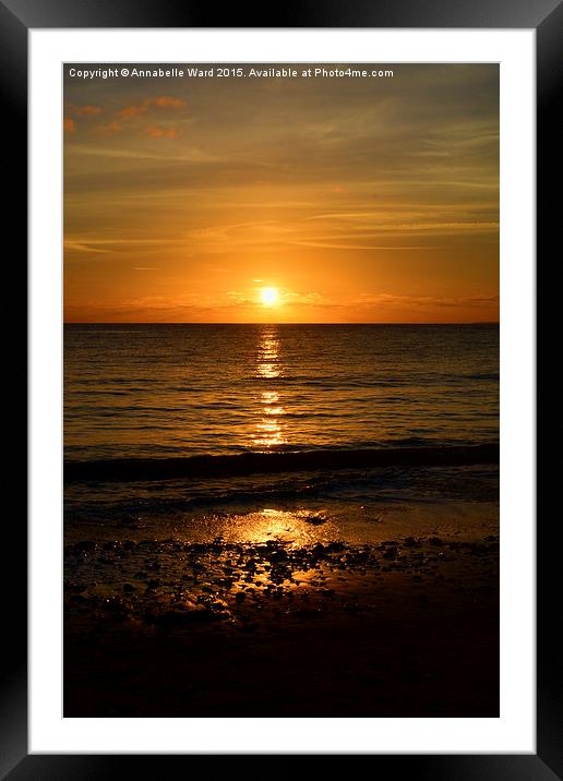  Sea Shore Sunset Framed Mounted Print by Annabelle Ward