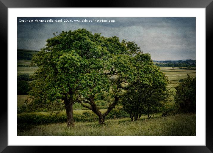 Spring Trees And Meadow. Framed Mounted Print by Annabelle Ward