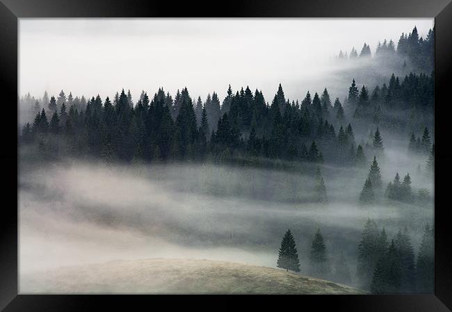 Morning fog flow Framed Print by Sergiu Gabriel Mihu