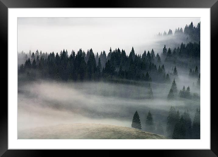 Morning fog flow Framed Mounted Print by Sergiu Gabriel Mihu