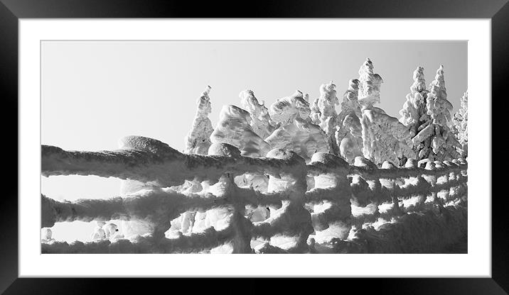Snow scape Framed Mounted Print by Sergiu Gabriel Mihu