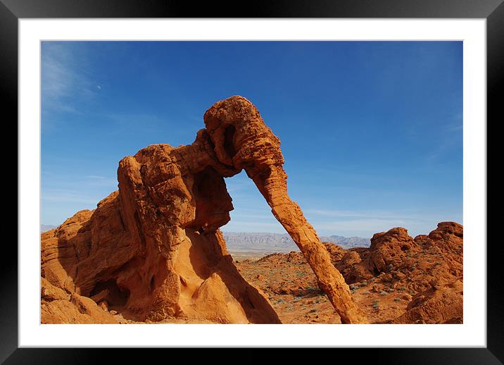 Elephant Rock, Valley of Fire, Nevada Framed Mounted Print by Claudio Del Luongo