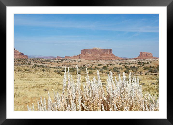 Monitor and Merrimac Buttes, Utah Framed Mounted Print by Claudio Del Luongo