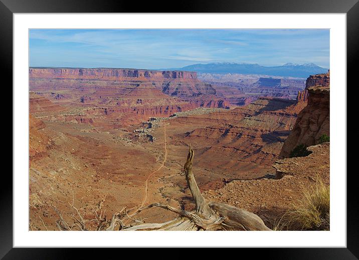 Dry log, abyss, road and mountains Framed Mounted Print by Claudio Del Luongo