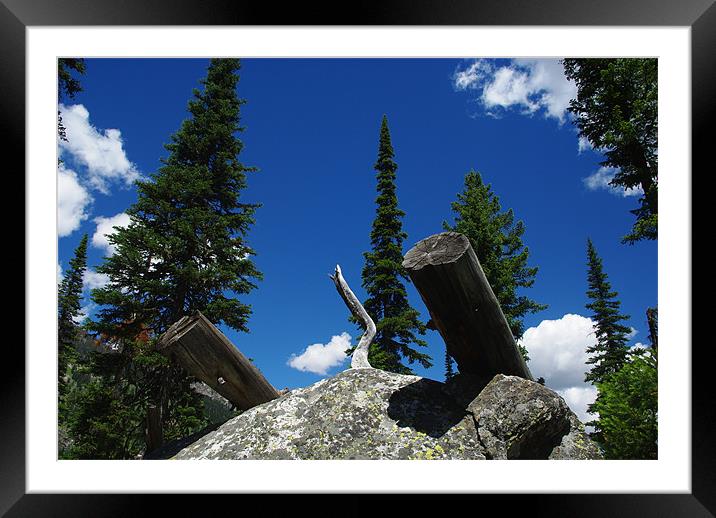 Logs on rock boulder, trees and intense blue sky Framed Mounted Print by Claudio Del Luongo