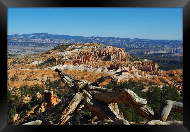 Dry log over Bryce Canyon Framed Print by Claudio Del Luongo