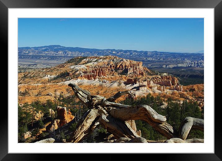 Dry log over Bryce Canyon Framed Mounted Print by Claudio Del Luongo