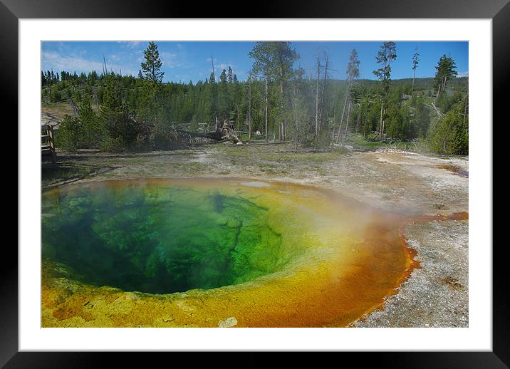 Morning Glory Pool, Yellowstone Framed Mounted Print by Claudio Del Luongo