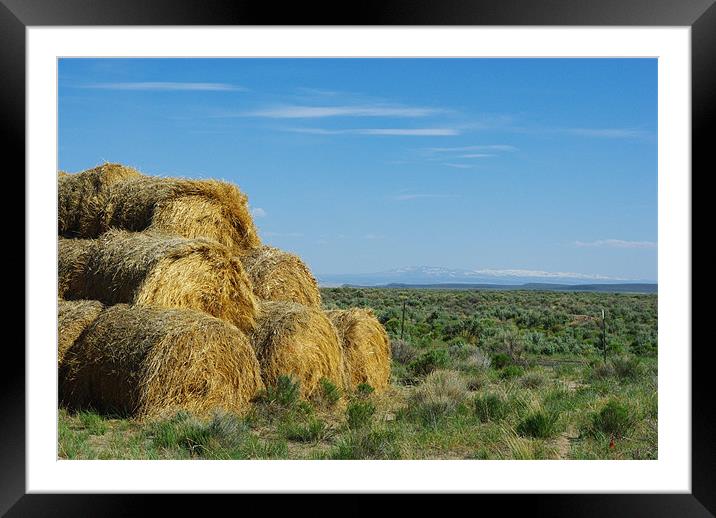 Hay bales in Montana Framed Mounted Print by Claudio Del Luongo