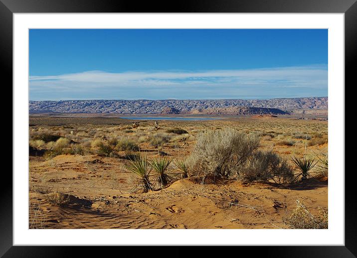 Lake Powell and desert, Utah Framed Mounted Print by Claudio Del Luongo