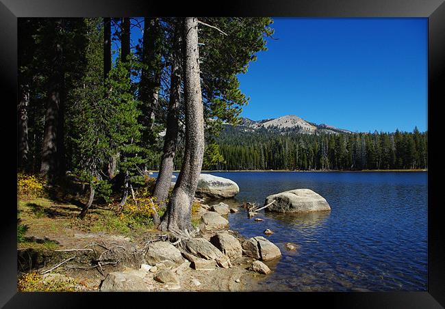 Beautiful Ice House Reservoir, California Framed Print by Claudio Del Luongo