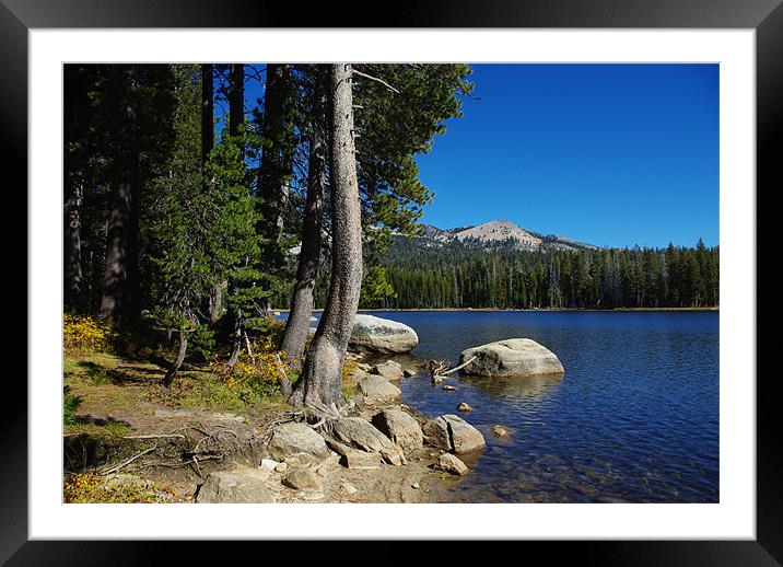 Beautiful Ice House Reservoir, California Framed Mounted Print by Claudio Del Luongo