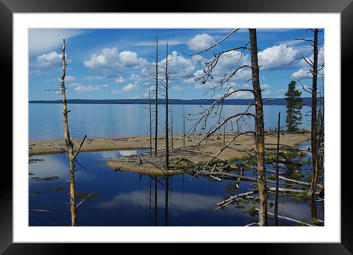 Lake Yellowstone, Wyoming Framed Mounted Print by Claudio Del Luongo