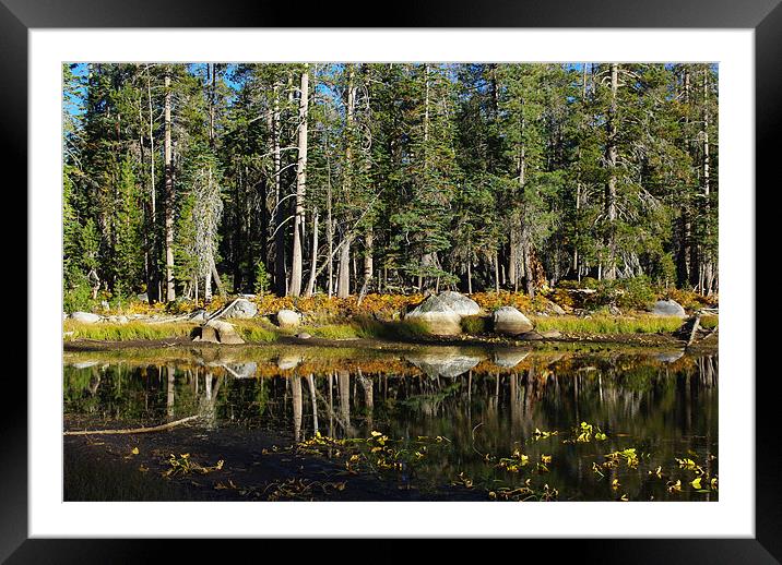 Beautiful pond near Edison Lake, California Framed Mounted Print by Claudio Del Luongo