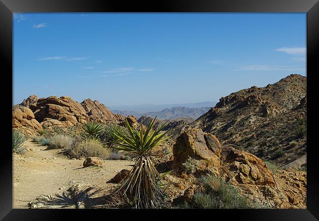 Yuccas, Rocks and Mountains Framed Print by Claudio Del Luongo