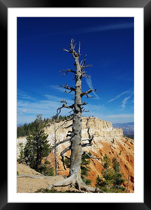 Bryce impression, Utah Framed Mounted Print by Claudio Del Luongo