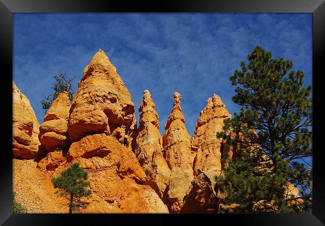 Rock towers, Bryce Canyon, Utah Framed Print by Claudio Del Luongo
