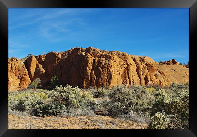 Scenery near Harris Wash, Utah Framed Print by Claudio Del Luongo