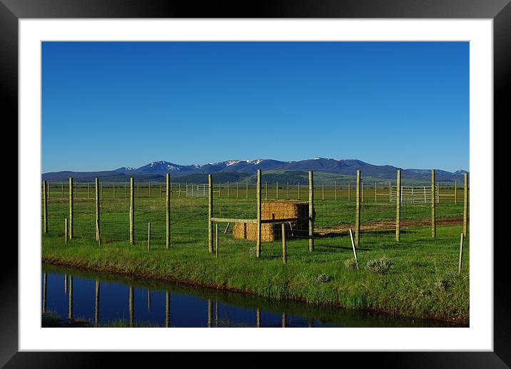 Blue Stream and ranchland near Walden, Colorado Framed Mounted Print by Claudio Del Luongo