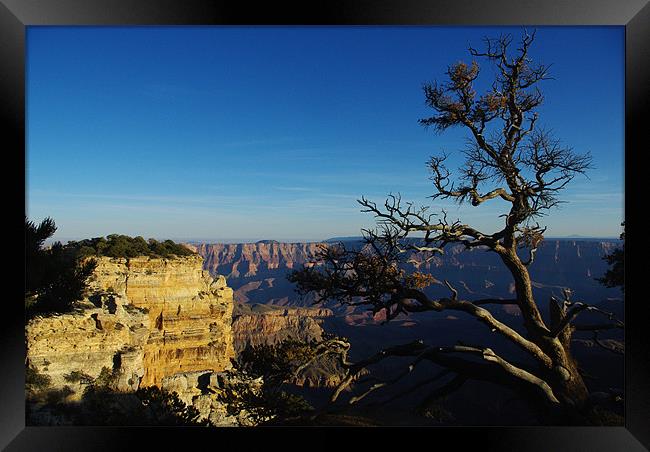North Rim, Grand Canyon Framed Print by Claudio Del Luongo