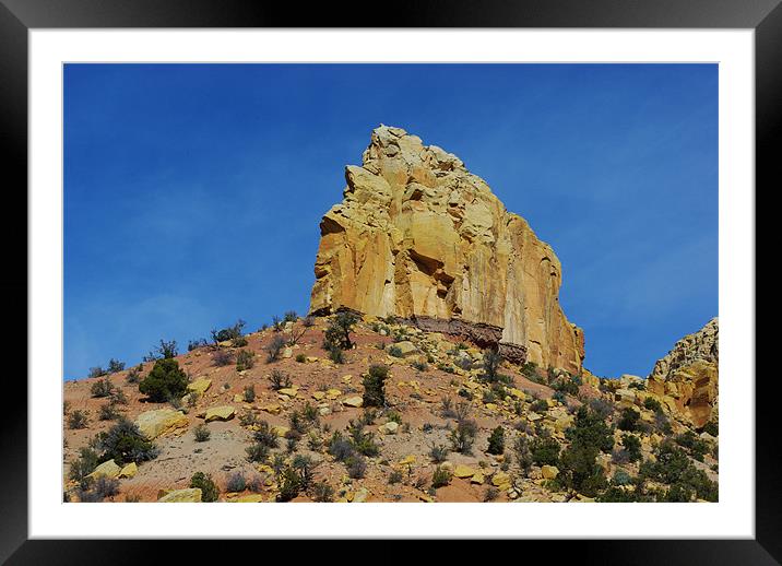 Near Wolverine Petrified Wood Area, Utah Framed Mounted Print by Claudio Del Luongo