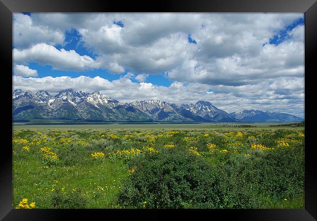 Grand Tetons, Wyoming Framed Print by Claudio Del Luongo