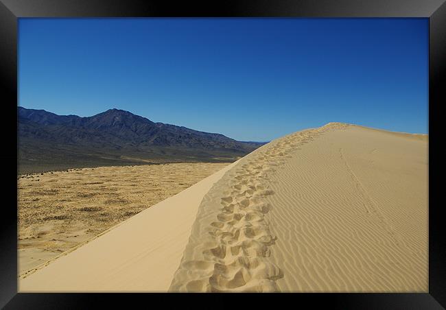 Mojave dune, California Framed Print by Claudio Del Luongo