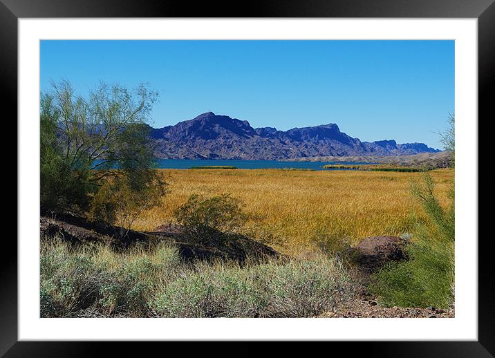 Lake Havasu, Arizona Framed Mounted Print by Claudio Del Luongo