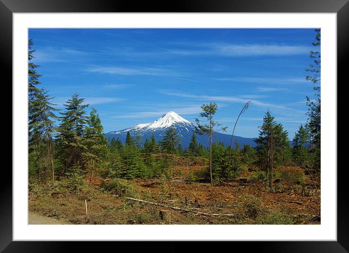 Mount McLoughlin, Oregon Framed Mounted Print by Claudio Del Luongo
