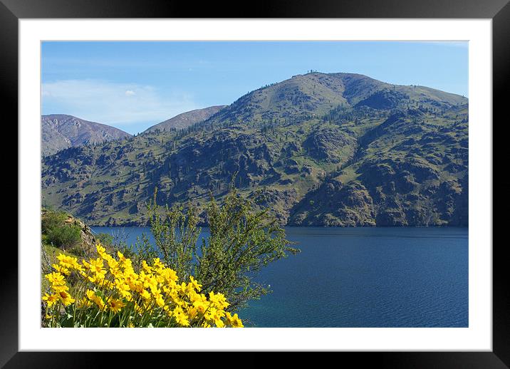 Lake Chelan, Washington Framed Mounted Print by Claudio Del Luongo