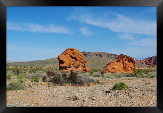 Valley of Fire, Nevada Framed Print by Claudio Del Luongo